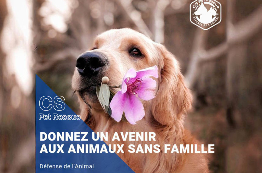 Help for Animals in TUNISIA